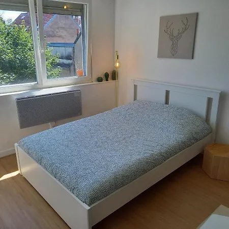 Belle Vue Centre-ville Historique De Dijon. Dijon