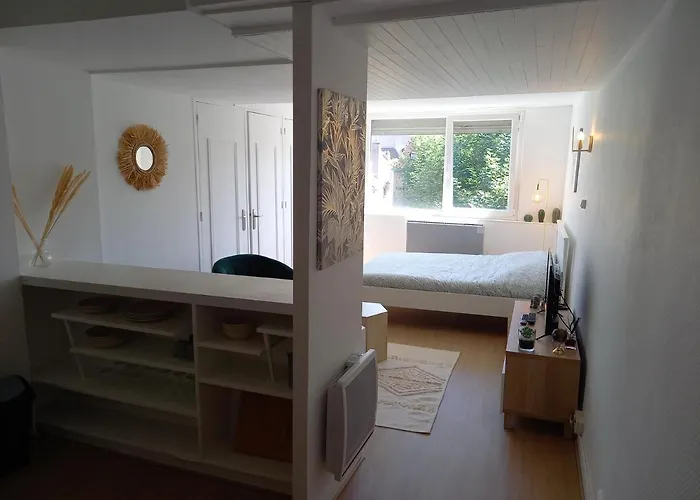 Belle Vue Centre-ville Historique De Dijon. Appartamento