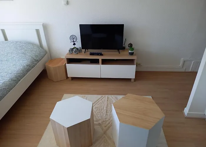 Appartamento Belle Vue Centre-ville Historique De Dijon. Digione