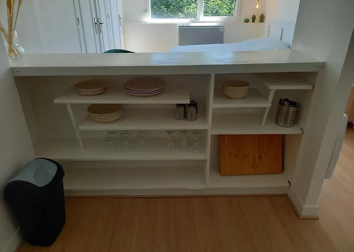 Belle Vue Centre-ville Historique De Dijon. Digione